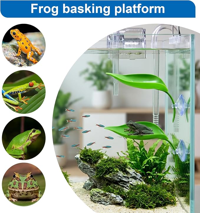 African Dwarf Frog Tank Accessories, 3PCS Tree Frog Terrarium Accessories Leaf-Shaped Frogs Habitat Decor with Suction Cup, Basking Platform for Climbing and Resting