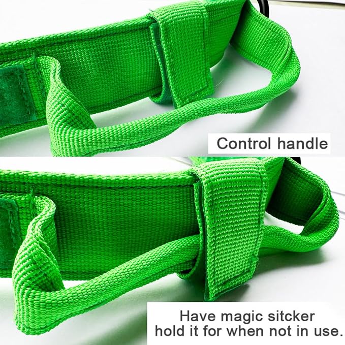 Tactical Dog Collar for Large Dogs with Control Handle,Bright Green,S | 1000D Heavy-Duty Nylon Fabric,Quick-Release Metal Buckle,Adjustable Fit,Soft-Padded Webbing,D-Ring,for Training & Hiking