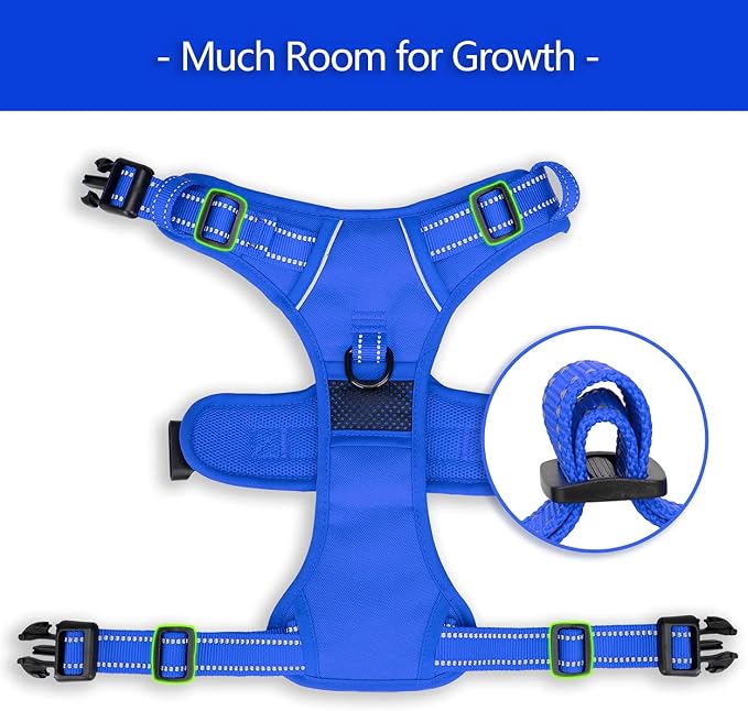 PoyPet No Pull Dog Harness, Reflective Vest with 2 Leash Clips & Handle | Lockable Neck Release Buckle, No Choke, Adjustable, Soft Padded, for Walking Training, Royal Blue, Small