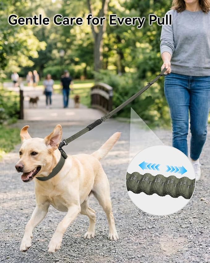 Joytale Tactical Bungee Dog Leash, Shock Absorbing No Pull, Army Green | for Large Dogs That Pull, 2 Padded Handles for Control, Car Seatbelt Clip, Reflective for Night Safety, Metal Frog Clip
