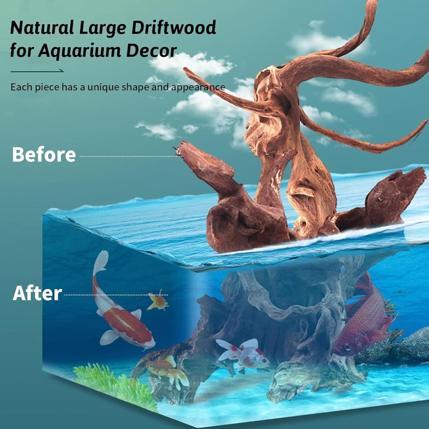Hamiledyi 3 Pcs Natural Driftwood for Aquarium 7-12 Inch Driftwood Branches Bearded Dragon Accessories Reptiles Aquarium Decoration Assorted Size Natural Habitat Decor Wood for Lizad