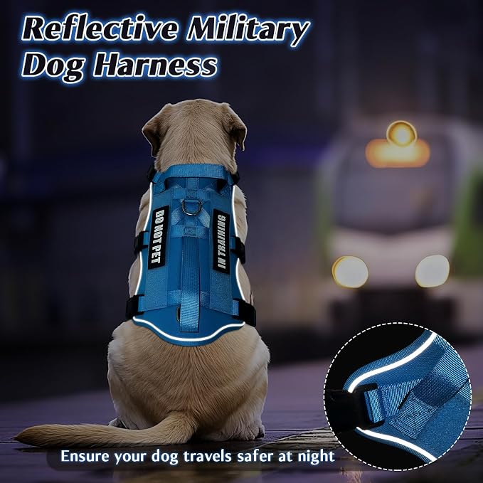 Escape Proof Dog Harness with Double Handle+4 Removable Patches | Service Working Molle Harness with Double Handle for Small Dogs, Tactical Pet Reflective Vest for Walking Hiking Hunting