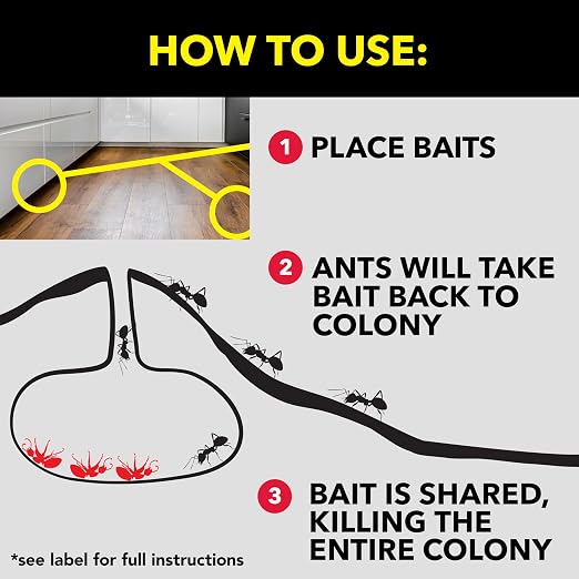 Raid Ant Killer Baits, for Household Use, Kills the Colony, Kills Ants for 3 Months, Child Resistant 4 Count (Pack of 12)