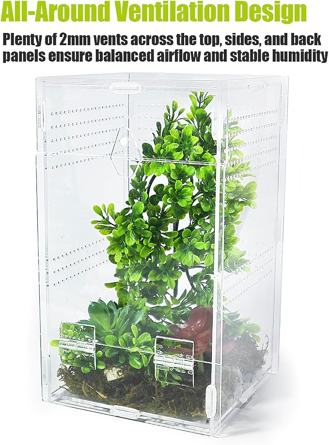 Jumping Spider Enclosure 6”x6”x10”, Transparent Arboreal Tarantula Habitat, Praying Mantis Terrarium Critter Cage for Jumping Spider, Tarantula, Mantis, Snail, Isopods, Beetles, Millipedes