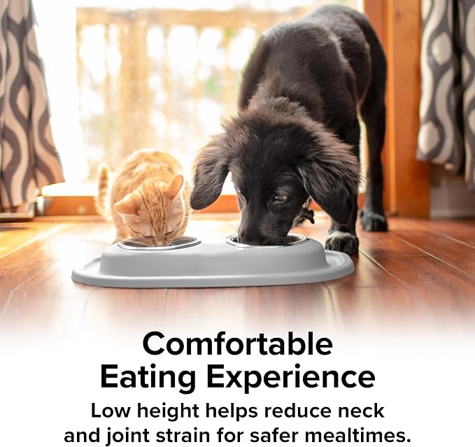 WeatherTech Double Low Pet Feeding System - Compact and Portable Dog/Cat Food and Water Station - 96 oz (12 Cups) Tan (DL9603TN)