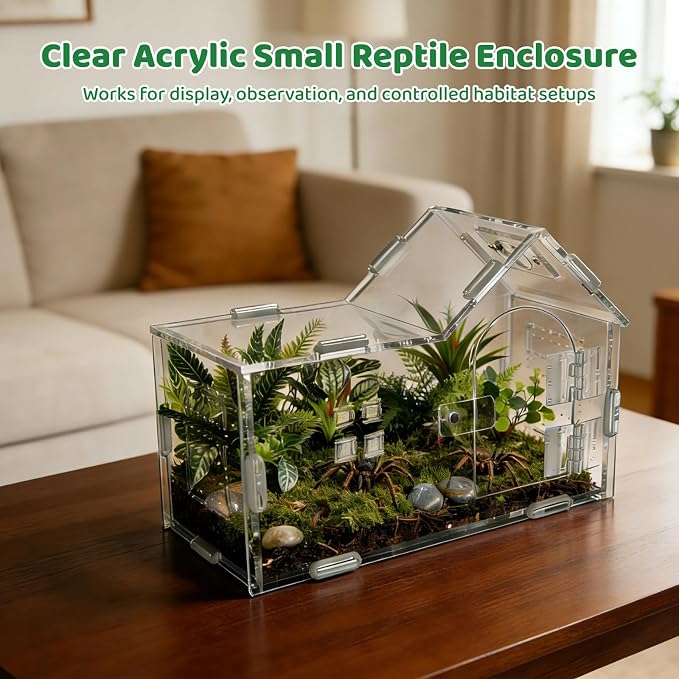 Large Jumping Spider Acrylic Enclosure, Clear Acrylic Spider Habitat Box with Adsorptive Door Feeding Hole, Ventilated Small Reptile Terrarium for Small Lizard Snail Cricket Mantis