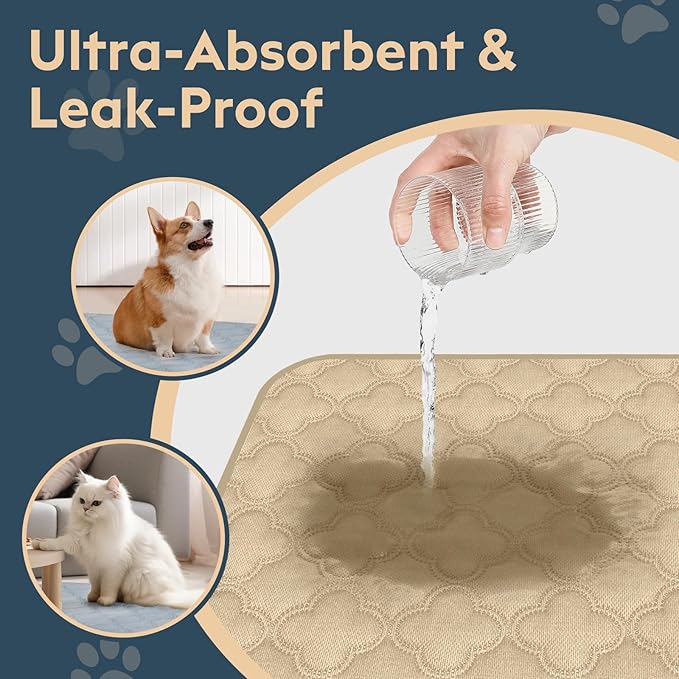 Washable Pee Pads for Dogs - 1 Pack Reusable Pee Pads，Waterproof Puppy Pads，Pet Training Pads，Super Absorbent with Dog Paw Shape Non-Slip Backing (Cream, 72" X 72" - 1 Pack)