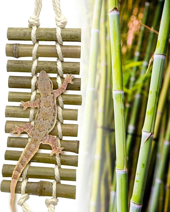 VCEPJH Reptile Bridge 2 Pack Crested Gecko Climbing Ladder Bamboo Basking Lounger Leopard Gecko Tank Accessories for Hermit Crab Juvenile Bearded Dragon Chameleon Small Lizard Tree Frog