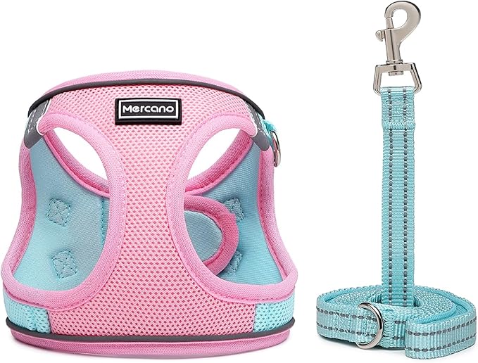 Mercano Soft Mesh Dog Harness and Leash Set, No-Chock Step-in Reflective Breathable Lightweight Easy Walk Vest Harnesses with Safety Buckle for Small Dogs, Cats (M, Pink Blue)