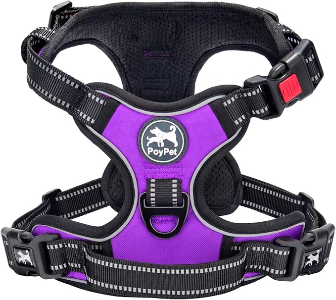 PoyPet No Pull Dog Harness Medium with Front Clip & Neck Release Buckle | No Choke, Adjustable Vest, Reflective, Back Clip, Lockable, Soft Padded, Easy Control Handle for Walking Training, M, Purple
