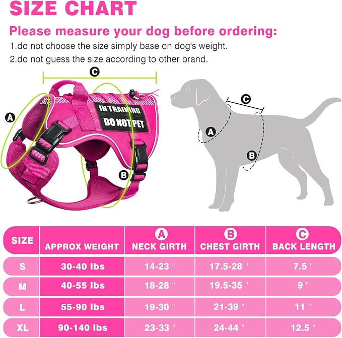 Service Dog in Training Mesh Harness with 10 Removale Pet Patches | Breathable material, adjustable straps, reflective trim, lightweight but durable, great for training, walks, and outings