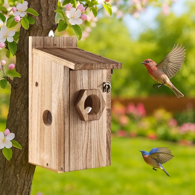 Bird House for Outside –Hanging Birdhouse for Bluebird Finch Swallow Wren Chickadee, Decorative Outdoor Bird Nesting Box with 3 Size Holes, Assembly Required (2)
