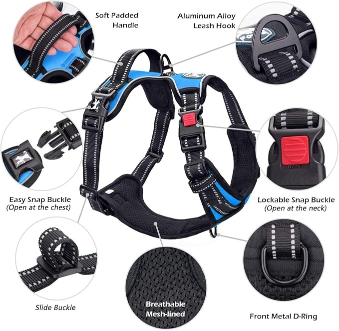 PoyPet No Pull Dog Harness Small with Front Clip & Neck Release Buckle | No Choke, Adjustable Vest, Reflective, Back Clip, Lockable, Soft Padded, Easy Control Handle for Walking Training, S, Blue