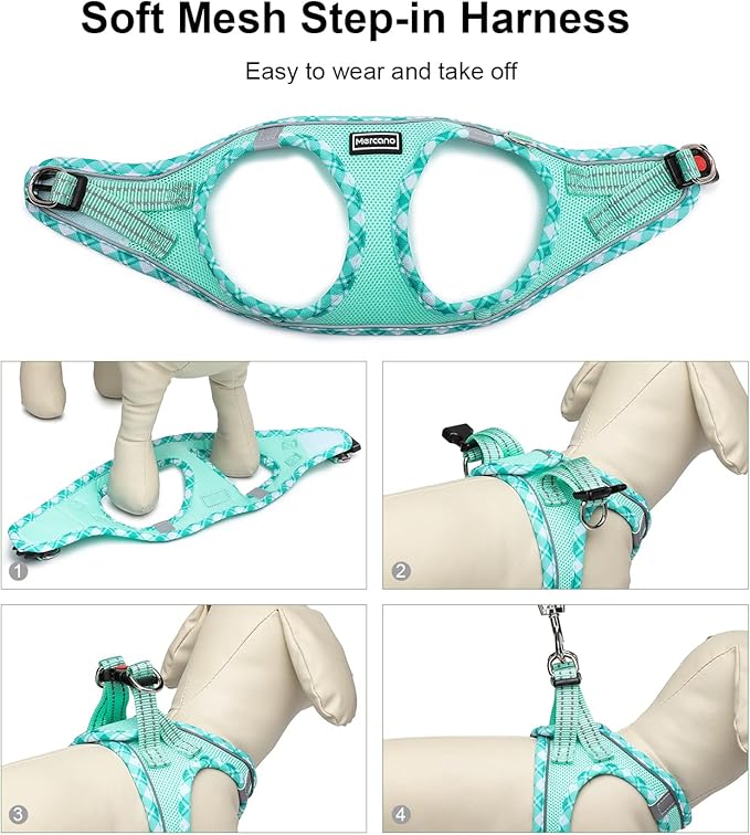 Mercano Soft Mesh Dog Harness and Leash Set, No-Chock Step-in Reflective Breathable Lightweight Easy Walk Vest Harnesses with Safety Buckle for Small Dogs, Cats (Light Green, M)