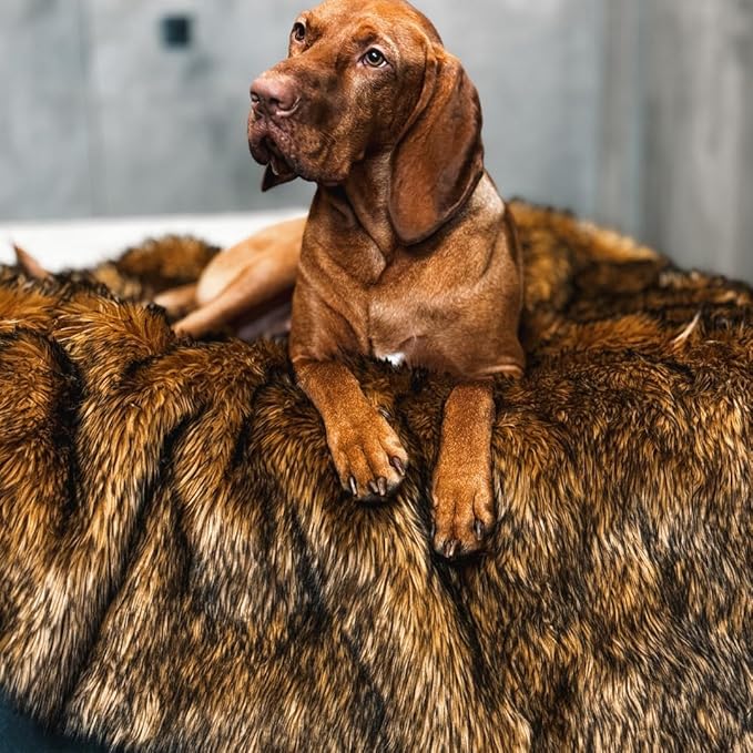 Waterproof Dog Blanket for Small, Medium & Large Dogs – Faux Fur Pet Throw for Couch, Sofa, Bed & Car – Soft, Washable, Stain-Resistant, Durable Cover - Brown 80" x 60"