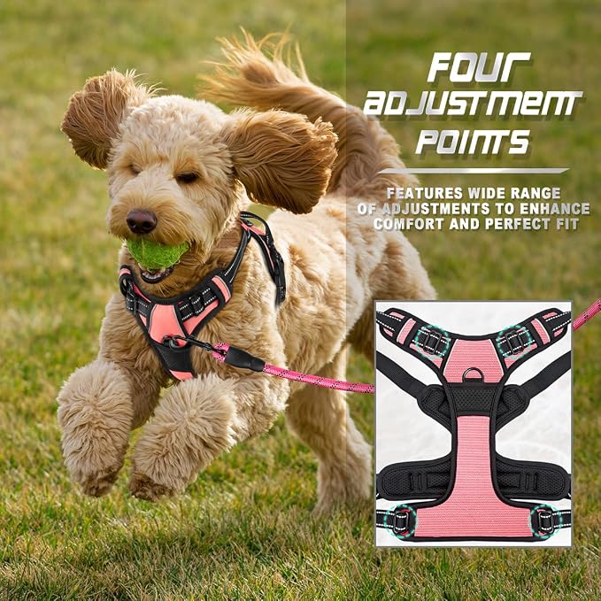 BARKBAY Dog Harness No Pull for Small Sized Dog Front Back Clips,Dog Vest | Soft Padded No Choke With Handle,Easy On&Off,Adjustable Reflective For Walking Training Running(Light Pink,XS)