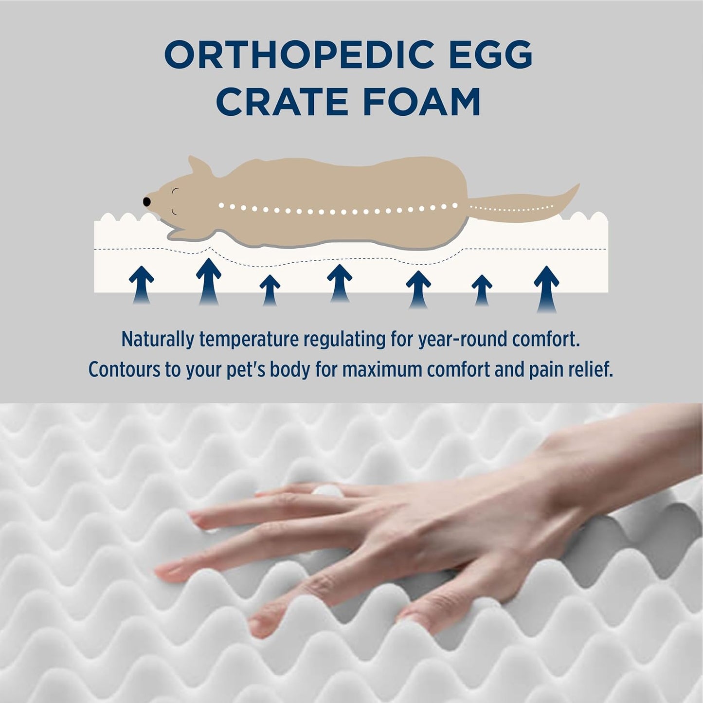 Bedsure Dog Bed Medium Size Dog - Orthopedic Flat Puppy Beds with Removable Washable Cover, Egg Crate Foam Pet Mat, Suitable for Pet Up to 35 lbs