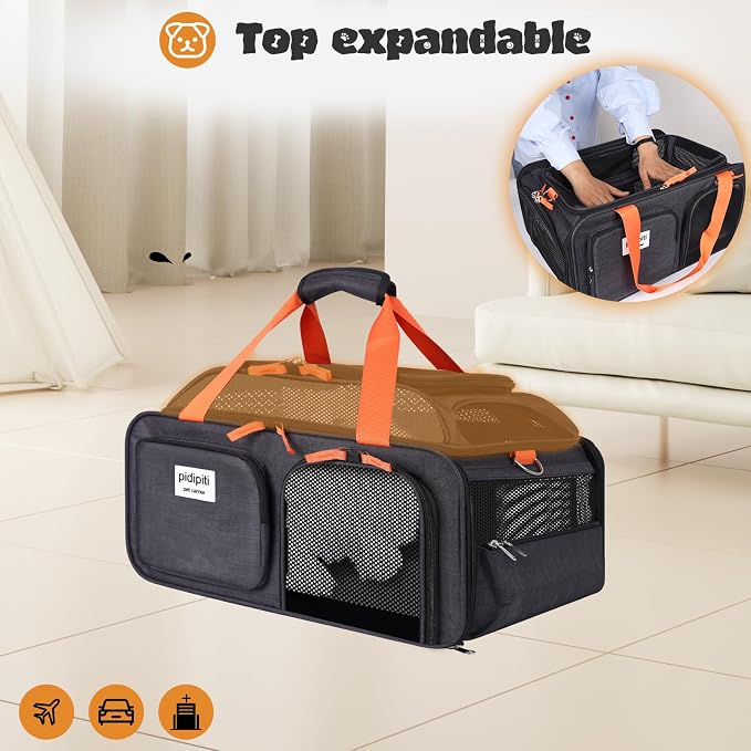 pidipiti 18.5x13x9 TSA Approved top Expandable Soft Sided pet Carrier for Small Dog up to 10 lbs,Medium cat up to 15 lbs. for Southwest and Other Airlines onlt Have 9'' Height Space Under seat