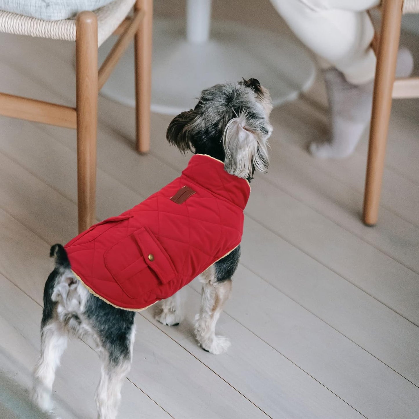 Queenmore Warm Dog Coat, Cold Weather Puffer Jacket with Ultra Thick Plush Lining and Storage Pockets (Red, X-Large)