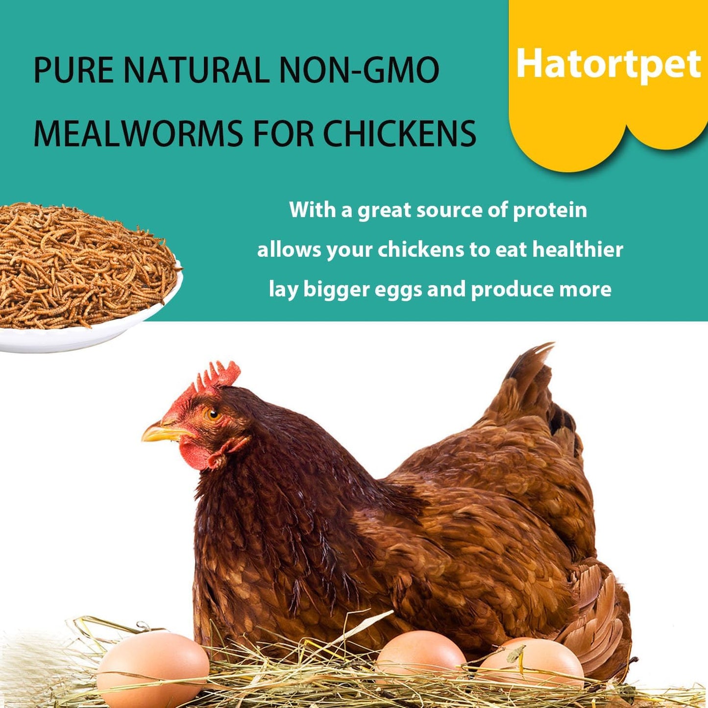 Dried Mealworms 20LB Pure Natural Non-GMO Mealworms for Chickens High Protein Chickens Feed Meal Worms for Laying Hens Wild Birds