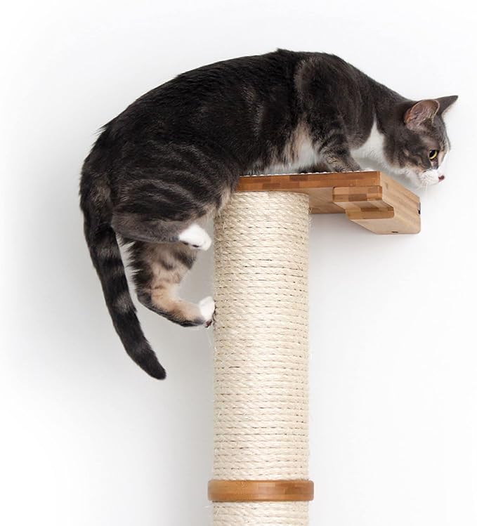 Catastrophic Creations Cat Scratching Post – 4-Tier Cat Wall Scratcher – Durable Bamboo & Sisal Cat Scratcher Post – Hand-Crafted Cat Scratching Posts for Indoor Cats – Modern Cat Furniture-