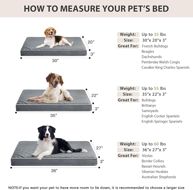 WNPETHOME Orthopedic Waterproof Large Sized Senior Dogs Bed for Comfy Sleep | Washable Ped Bed with Removable Cover, Multi-Needle Quilting Large Dogs Crate Bed for Dog Relax, Light 36x27 Inch