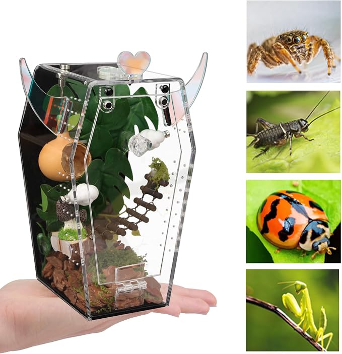 Acrylic Jumping Spider Enclosure，3mm Clear Coffin Terrarium with Magnetic Door & Feeding Hole, Secure Habitat for Jumping Spiders, Mantis, Small Tarantulas