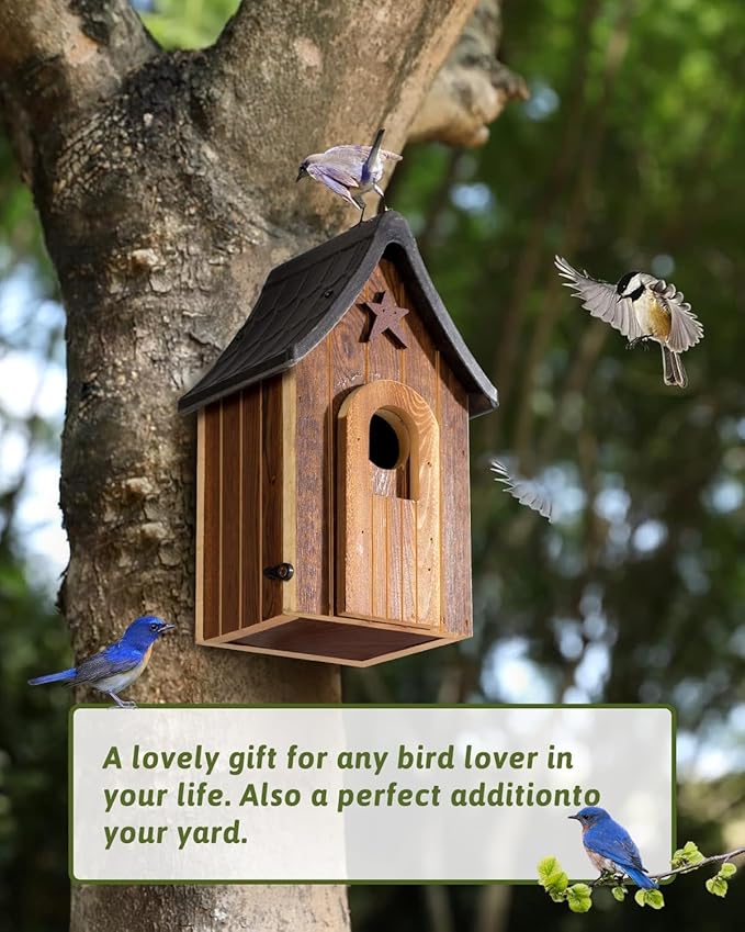 Water Proof Bluebird Bird Houses for Outside, 1.5" Entrance with Landing Perch Guard, Rustic Patriot Style, Squirrel Proof Composite Material Bird House for Outdoor, HDPE Roof 10 Years Weatherable