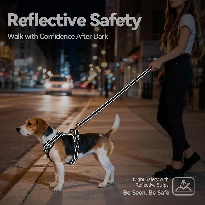 No Pull Dog Harness with Handle Front & Back Clip, Easy on | Lockable Snap Buckle at Neck, Adjustable Reflective Vest with Handle for Small Medium Large Dogs (M, Misty Green)