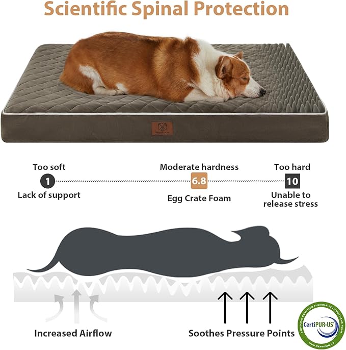 WNPETHOME Orthopedic Waterproof Extra Large Senior Dogs Bed for Comfy Sleep | XL Washable Ped Bed with Removable Cover, Multi-Needle Quilting XL Crate Bed for Large Sized Dog Relax, Dark Green 42x30 Inch