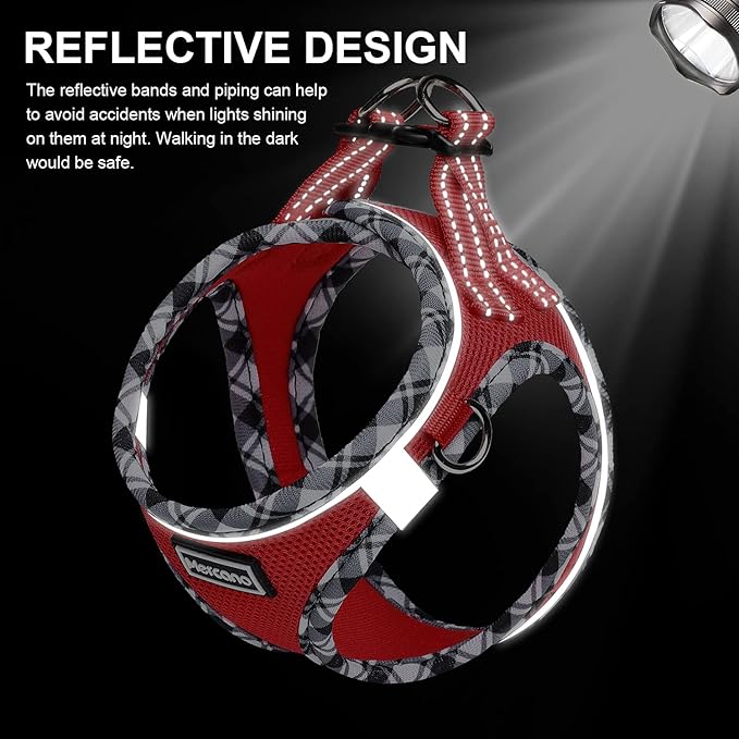 Mercano Soft Mesh Dog Harness and Leash Set, No-Chock Step-in Reflective Breathable Lightweight Easy Walk Vest Harnesses with Safety Buckle for Small Dogs, Cats (Red, M)