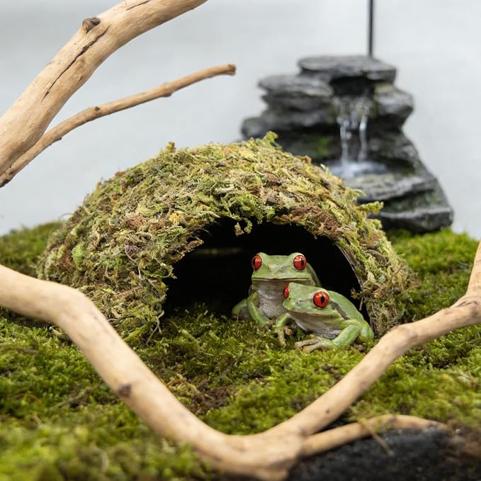 Natural Moss Frogs Hideout - Green Mossy Cave for Reptile, Geckos, and Hermit Crabs - Humid Habitat Decor for Amphibians and Small Reptiles - Eco-Friendly Terrarium Shelter