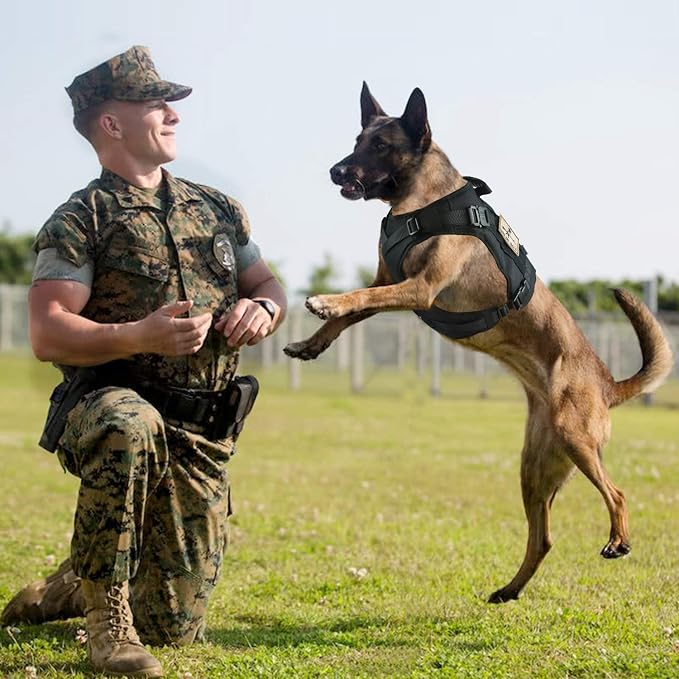 Tactical Service Dog Vest Harness K9 Military Molle Dog Vest for Outdoor Training Waterproof Pet Dog Harness with Rubber Handle & Metal Buckle