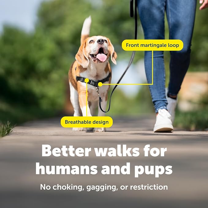 PetSafe Easy Walk Harness, No Pull Dog Harness, Raspberry, Small/Medium | Patented Martingale Loop Gives Gradual Shoulder Pressure to Stop Pulling, Front-Chest Leash Clip Prevents Gagging