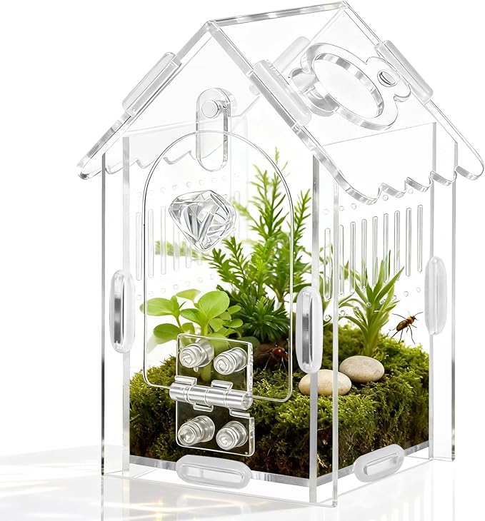 Jumping Spider Enclosure Acrylic Spider Cage Insect Terrarium Bug Enclosure Tarantula Enclosure Reptile Terrarium for Snail, Mantis, Lizard, and Small Reptiles - Small House Shape