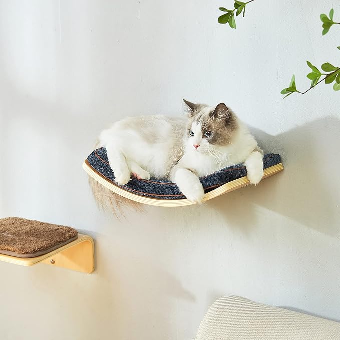 LIORCE Cat Shelf with Comfortable Cushion - Curved Cat Shelves and Perches for Wall (Medium Size) - Wall Mounted Cats Furniture for Sleeping, Playing, Climbing, and Lounging