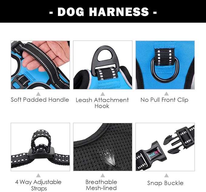 No Pull Dog Harnesses for Small Dogs Reflective Adjustable | Front Clip Vest with Handle 2 Metal Rings 3 Buckles [Easy to Put on & Take Off](XS, Blue)
