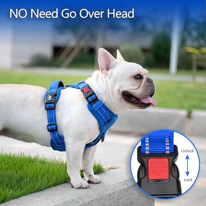 PoyPet No Pull Dog Harness, Reflective Vest with 2 Leash Clips & Handle | Lockable Neck Release Buckle, No Choke, Adjustable, Soft Padded, for Walking Training, Royal Blue, X-Small