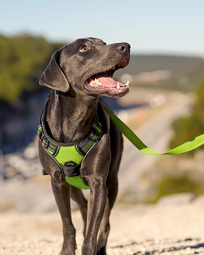 Joytale No Pull Dog Harness for Extra Large Dogs, Front Clip, Green | Grab Handle for Instant Control, Padded & Adjustable Vest, Sturdy Metal D-Rings, for Safe Training & Daily Walking