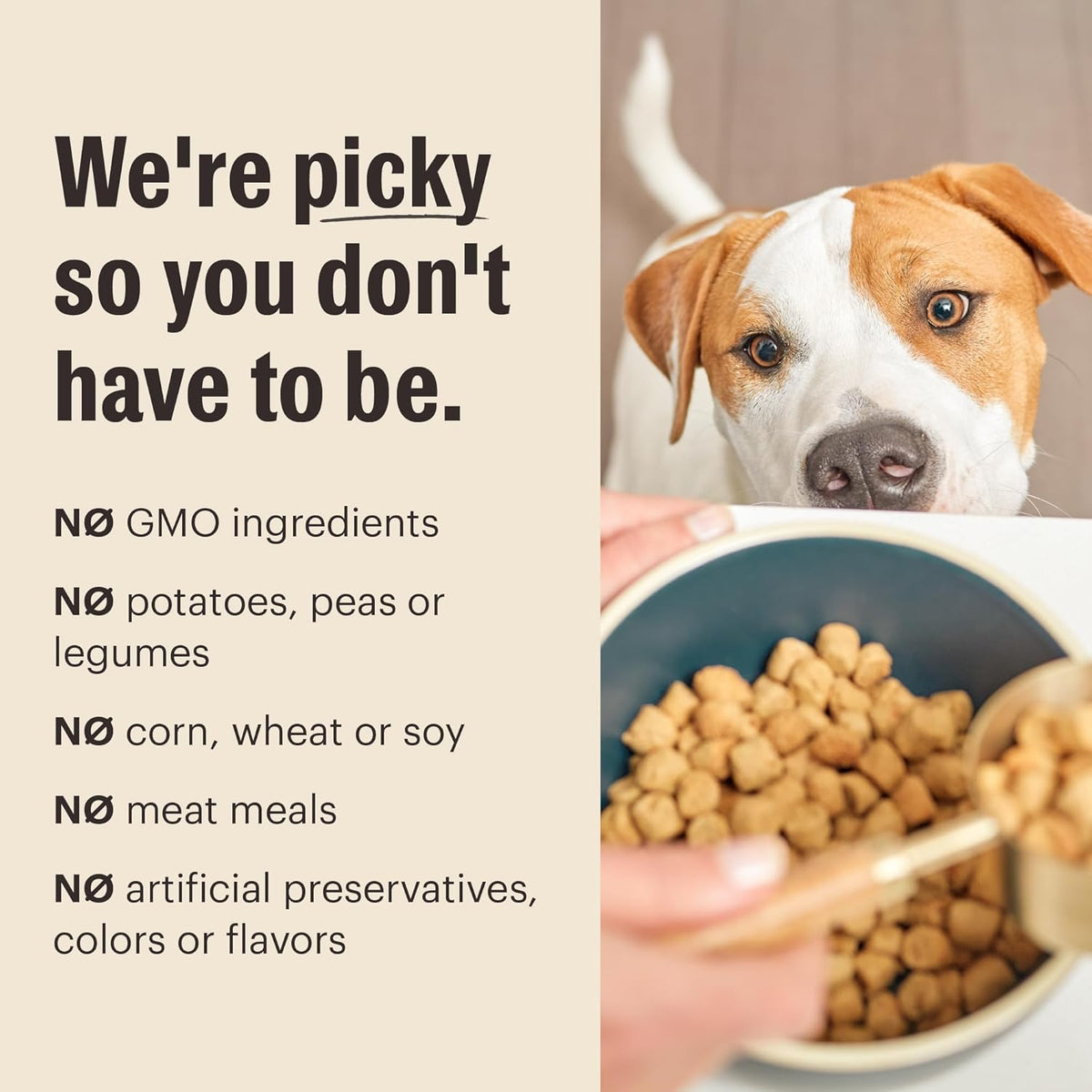 The Honest Kitchen Whole Food Clusters Whole Grain Beef & Oat Dry Dog Food, 1 lb Bag