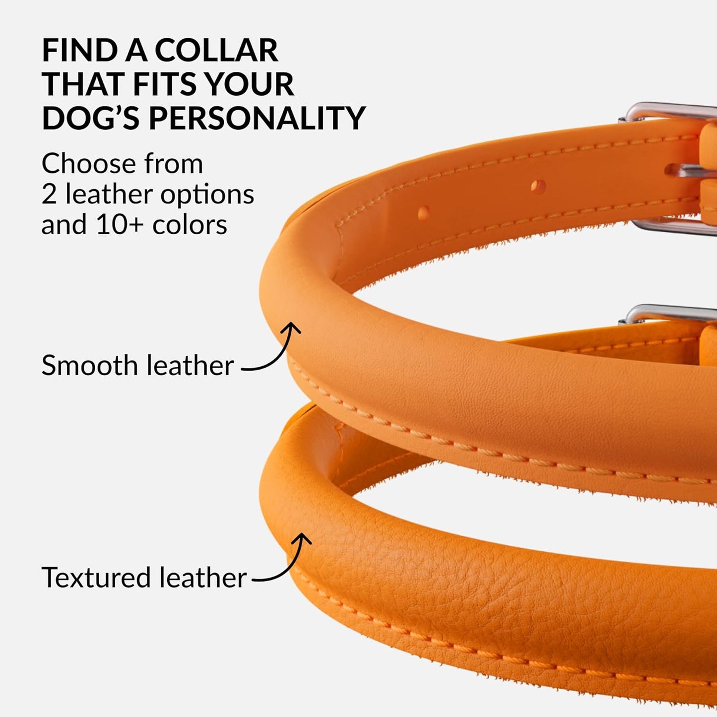 CollarDirect Rolled Leather Dog Collar, Soft Padded Round Puppy Collar, Handmade Genuine Leather Collar Dog Small Large Cat Collars 13 Colors (8-11 Inch, Orange Smooth)