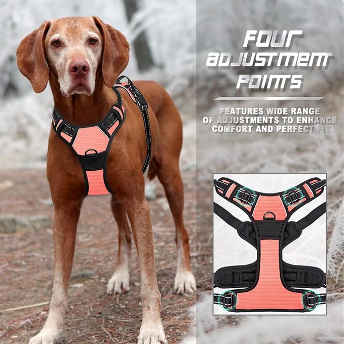 BARKBAY Dog Harness No Pull for Small Sized Dog Front Back Clips,Dog Vest | Soft Padded No Choke With Handle,Easy On&Off,Adjustable Reflective For Walking Training Running(Light Pink,S)
