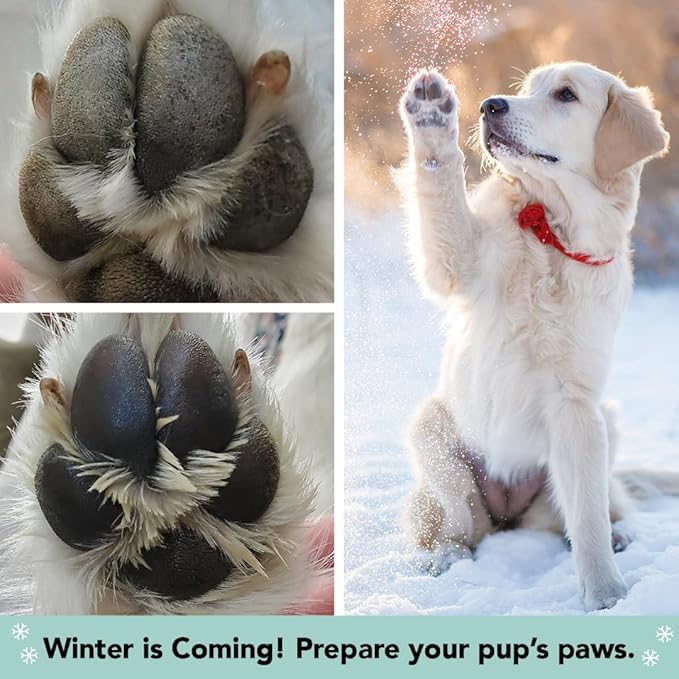 Natural Dog Company PawTection Balm for Dogs – Winter Paw Protection from Snow, Ice & Salt, Wax-Based Paw Barrier Balm, All Breeds for Cold Weather Walks & Outdoor Adventures, Lick-Safe, 2 oz Stick