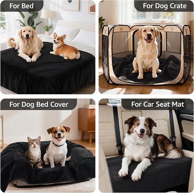 LOOBANI Waterproof Dog Blanket for Small Dogs, Pet Blanket 30" x 40", Black | Double Side Liquid-Proof, Puppy Blanket for Dog Cat Bed, Crate, Playpen, Reversible Soft Flannel, Couch Cover Throw
