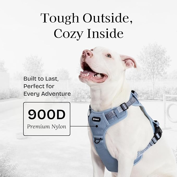 Fei & Eve Classic Dog Harness, MagEase Magnetic Buckle | 3-Point No-Pull Control, Dual Handle Support, 900D Nylon, Tactical Patch Panel, Heavy Duty, Medium, Blue