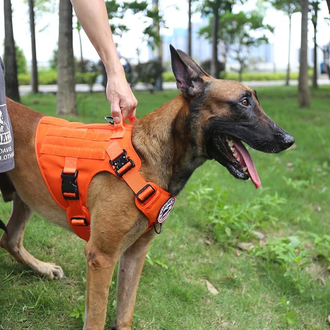 ICEFANG Tactical Dog Harness for Large Dogs,Reflective No Pull Dog Vest | with Control Handle,Adjustable,Front Hook,2 Leash Clips,Soft Padded,MOLLE Panel,Orange,Large