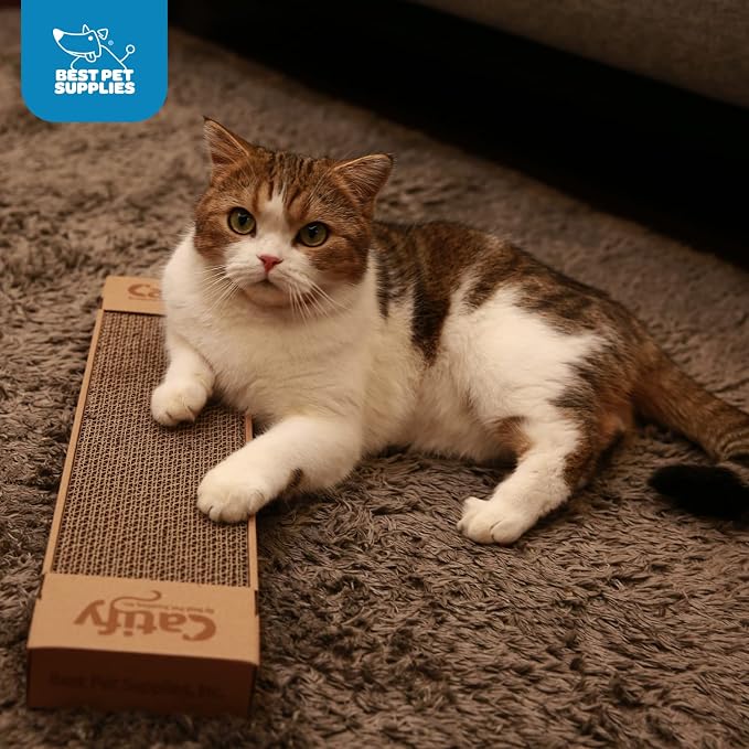 Best Pet Supplies Catify Cat Scratcher, Fun Interactive Scratchers, Posts, Poles, Claw Safe, Furniture Saver Indoor Play Support Natural Cat Behaviors Heavy Duty - Narrow (4 Pack)