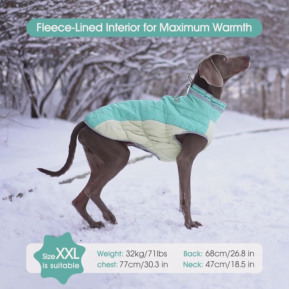 FUAMEY Dog Coat for Small Dogs,Waterproof Dog Winter Jacket with Harness Built in Puppy Cold Weather Coats Reflective Pet Vest with Zipper Warm Fleece Dogs Snowsuit Windproof Mint Green XS