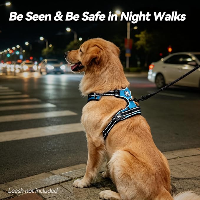 PoyPet No Pull Dog Harness Large with Front Clip & Neck Release Buckle | No Choke, Adjustable Vest, Reflective, Back Clip, Lockable, Soft Padded, Easy Control Handle for Walking Training, XL, Blue