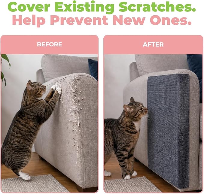 Best Pet Supplies Catify Cat Scratcher, Fun Interactive Scratchers, Posts, Poles, Claw Safe, Furniture Saver Indoor Play Support Natural Cat Behaviors Heavy Duty - Gray Mat - L: 39"